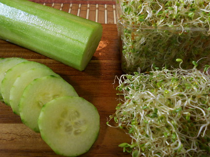 photo of alfafa sprouts and cucumber
