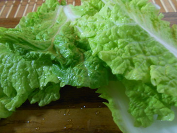 asian lettuce leafs